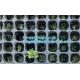 plastic nursery tray seedling tray have different numbers cups,Plastic Flowers Seedling Hydroponics Nursery Trays, BIO