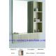 Aluminum Mirror Cabinet /Home Decoration Furniture H-012 800X1000