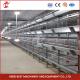 A H Type Full Automatic Brooder Chicken Cage System  Q235 Steel Rustproof Star