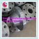 FORGED STEEL FLANGES SUPPLIER