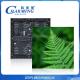 Factory Supplier P4 Hd 20W Video Wall Panel Creative 256x128mm Advertising Large Indoor Outdoor Led Display Screen For Church Wedding Reception Room