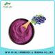 Natural Bilberry Extract / Blueberry Extract / Anthocyanidins / Fruit powder