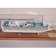 OEM ODM Princess Cruise Ship Models With Injection Mold Making Anchor Material