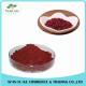 Factory Supply Food Grade High Purity Lovastatin Monacolin K 0.5% - 5% Red Yeast Rice Extract