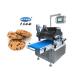 Semi Automatic Nylon rubber Conveyor Cookies Dough Machine Snack Food Factory