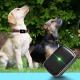 Gadget Kuwait Kid Elder Asset Toy Pet Dog Collar Smalles Cat Gps Tracker