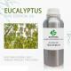 Eucalyptus Essential Oil Bulk 100% Pure Natural 25kg USDA OEM