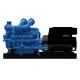 YC12VTDG-700N5HC 800kw Natural Gas Generator Container Yuchai Gas Generator Set