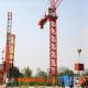 Construction Building Equipment New Tower Crane Qtz500 (8522) From China
