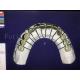 Reliable Effective Dental Design Service Superior And Competitive