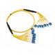 LC-LC / SC-SC SM MM Fiber Optic Patchcord 12 Cores Breakout Fiber Cable