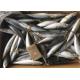 Scomber Japonicus 9PCS 10PCS Per Kg High Protein Mackerel Frozen Sea Fish