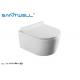 Bathroom Modern Wall Mounted Toilet Cistern Concealed Tank / Rimless Toilet / Rimless Wall Hung Toilet