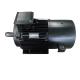 IP54 IP55 IP68 Three Phase Permanent Magnet Motor High Torque Low Noise