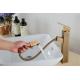 Hotel  Brushed Pull Out ODM Vintage Style Bathroom Faucets