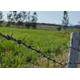 Construction Protection Galvanized/Galvanized Barbed Wire Price Per Roll