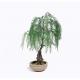 Weeping Willow Imitation Bonsai Trees Non Toxic Strong UV Resistance