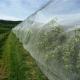 Insect Bird Barrier Netting Mesh for Vegetables Fruit Flower from Damage Ventilate Durable and Reused Perfect for Garden