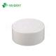 Forged White Plastic PVC UPVC Sch40 Sch80 End Cap for Water Supply Pipe Fitting System