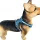 16 Inches Custom Blue Emergency Escape Proof Dog Harness For Small Dogs Tear Proof Anti Escape