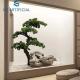 Home Decoration Cement Artificial Pine Tree Non - Toxic Moisture Resistant