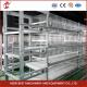 Anti Corrosion Chicken Battery Cage 160 Birds Capacity 100khg Weight Rose