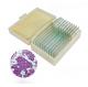 Yeast W.M on bacteria microbiology microspecimen prepared microscope slides for educational supplies