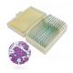 50 Pieces Permanent Animal Microscope Slides For Basic Science Research