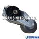 SHACMAN Truck Parts (VG2600060313)Tension Pulley