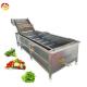 Seafood Bubble Washing Machine for Fruit and Vegetable Pepper 3000*1160*1400mm Size