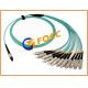 12 Core Configuration Fiber Optic Patch Cables, MTP to SC Fan Out Ribbon Type