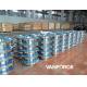 Raised Face Stainless Steel Weld Neck Flange 300LBS For Petrochemical