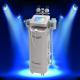 2014 Best cryolipolysis for beauty salon use / cryolipolysis fat freezing equipments