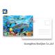 Durable Dolphin 3D Lenticular Postcards CMYK UV Offset Printing Cartoon Design