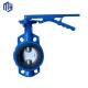 Efficiently Designed Wafer Lug Butterfly Valves with EPDM PTFE PFA Rubber Lining