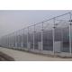 Corrosion Resistance Multi Span Greenhouse With Hydroponics System For Tomato