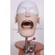 High Quality Stainless Steel Dental Phantom Head for University