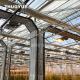 OEM ODM Irrigation System Light Deprived Greenhouse Horticultural Solution