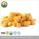Halal instant food dehydrated vegetable freeze dried Pumpkin