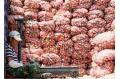 Export surge feeds rise in price of garlic