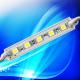5LEDS SMD5050  EXPOY  LED MODULE