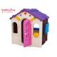 Princess Active Play Equipment  For Kindergarten Toddler Baby  HDPE 125*135*144cm