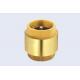 BSP NPT Brass Check Valve Spring Type With Brass Disc