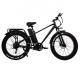 48V 17Ah 7 Speed Electric Fat Tire Bike 750W 26 Inch Electric Mountain Bike For Adults