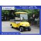 Customized Cargo Box Electric Delivery Van, 2 Seater Utility Electric Car Used Hotel
