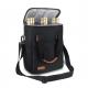 Oxford Insulated Backpack Cooler Bag Bottle Beer Wine Cooler Backpack 10X6X13"