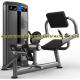Fitness Equipment Back Extension training machine for quadratus lumborum / erector spinae / Latissimus Dorsi of back
