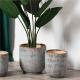 New design macetas home floor decorative planters indoor outdoor big large garden ceramic flower pots for plant