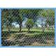 Easily Install Chain Link Fence Fabric Green Color PVC Coated Materials