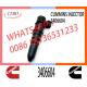 M11 PT 3087648 3406604 3411821 4914328 Engine Diesel Fuel Injector Common Rail Injector